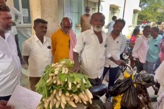 ಲಂಚ ನೀಡಲು ಮೂಲಂಗಿ ಕಟ್ಟುಗಳೊಂದಿಗೆ ಕಚೇರಿಗೆ ಆಗಮಿಸಿದ ರೈತ