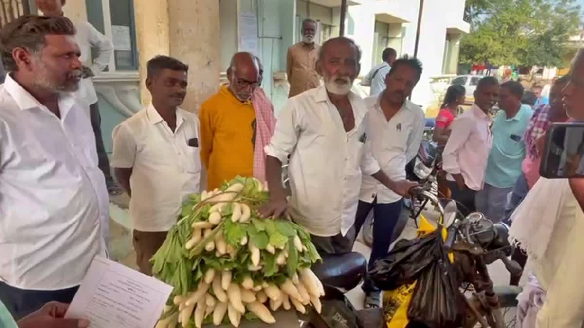 ಲಂಚ ನೀಡಲು ಮೂಲಂಗಿ ಕಟ್ಟುಗಳೊಂದಿಗೆ ಕಚೇರಿಗೆ ಆಗಮಿಸಿದ ರೈತ