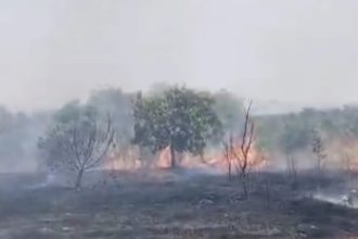 ಶಾರ್ಟ್ ಸರ್ಕ್ಯೂಟ್ ಬೆಂಕಿ ಅವಘಡಕ್ಕೆ 40 ಎಕರೆ ಬೆಳೆ ಸಂಪೂರ್ಣ ಭಸ್ಮ