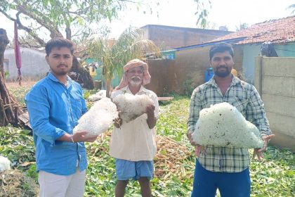 ನೋಡಲು ಕಾಶ್ಮೀರದ ಹಿಮಪಾತ, ಆದರೆ ಇದು ರೈತರ ಬದುಕಿನ ಕಣ್ಣೀರಿನ ಹನಿ!
