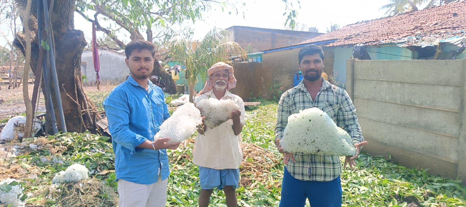 ನೋಡಲು ಕಾಶ್ಮೀರದ ಹಿಮಪಾತ, ಆದರೆ ಇದು ರೈತರ ಬದುಕಿನ ಕಣ್ಣೀರಿನ ಹನಿ!