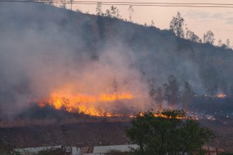 ಕಿಡಿಗೇಡಿಗಳ ಅಟ್ಟಹಾಸಕ್ಕೆ ಸುಟ್ಟು ಭಸ್ಮವಾದ ಗುಡ್ಡ; ನೂರಾರು ಮೂಕಜೀವಿಗಳ ಮಾರಣಹೋಮ