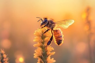 ಜೀವರಸ…..