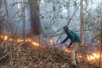 ಭದ್ರಾ ಅಭಯಾರಣ್ಯದ ಮುತ್ತೋಡಿ ವಲಯದ ಹೊರ ಭಾಗದಲ್ಲಿ ಕಾಡ್ಗಿಚ್ಚು
