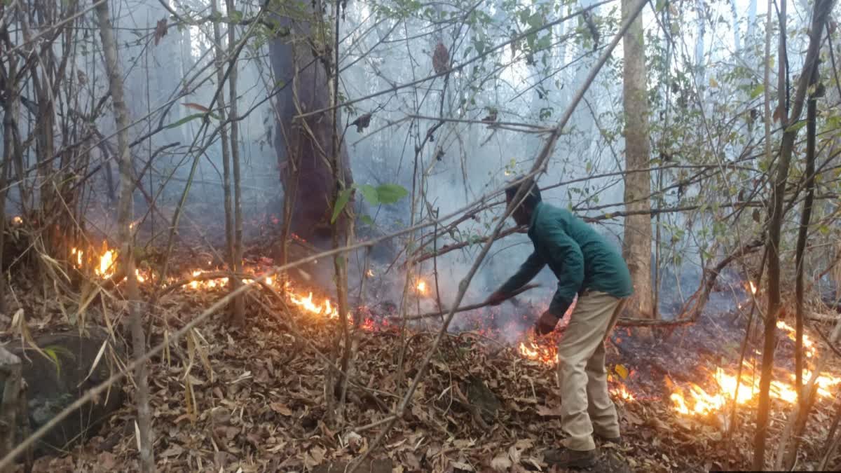 ಭದ್ರಾ ಅಭಯಾರಣ್ಯದ ಮುತ್ತೋಡಿ ವಲಯದ ಹೊರ ಭಾಗದಲ್ಲಿ ಕಾಡ್ಗಿಚ್ಚು