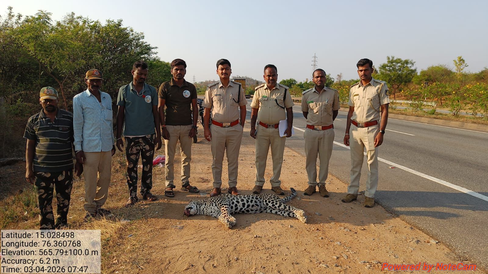 ಅಪರಿಚಿತ ವಾಹನ ಡಿಕ್ಕಿ ಚಿರತೆ ಸ್ಥಳದಲ್ಲೇ ಸಾವು