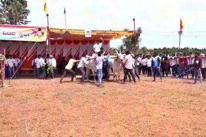 ಧೂಳೆಬ್ಬಿಸಿದ ಜೋಡೆತ್ತಿನಗಾಡಿ ಸ್ಪರ್ಧೆ; ಕುರಿ ಚಿಕ್ಕನಹಳ್ಳಿಯಲ್ಲಿ ರೈತಹಬ್ಬದ ಸಂಭ್ರಮ!