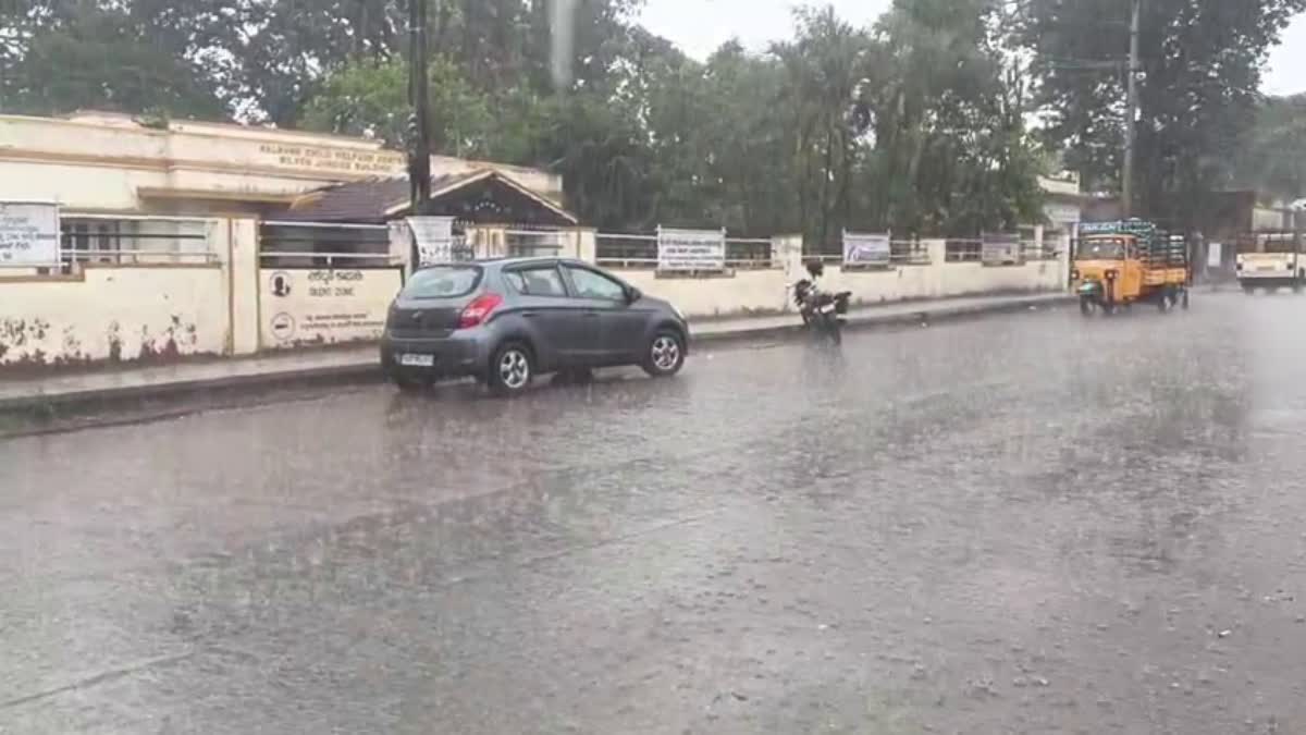 ಮಲೆನಾಡಿನಲ್ಲಿ ವರುಣನ ಅಬ್ಬರ; ಬಿಸಿಲ ಬೇಗೆಯಿಂದ ಕಂಗೆಟ್ಟಿದ್ದ ಜನತೆಗೆ ತಂಪು ನೀಡಿದ ಮಳೆ